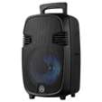 Amplify Wingman Series 8" Party Speaker with Microphone - Black