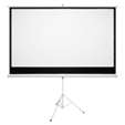 Connex E-Luminate Tripod Projector Screen 100'' - 16:9