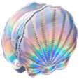 Quest Shell Coin Purse - Silver